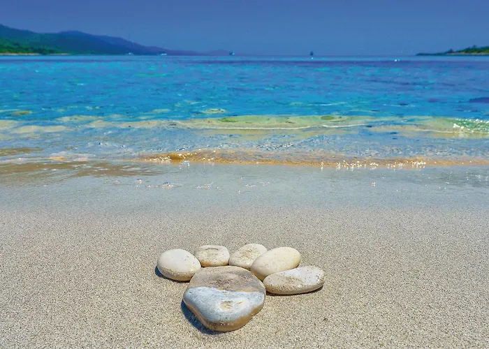 Beautiful In With Wifi Veli Rat